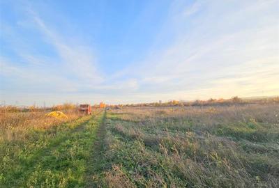 Teren agricol extravilan de 10000 mp, în 9 Mai - 2