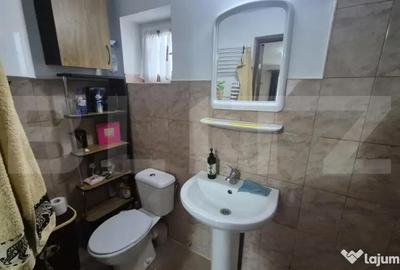 Casă cu 2 camere cu Canalizare în Viile Satu Mare - 17