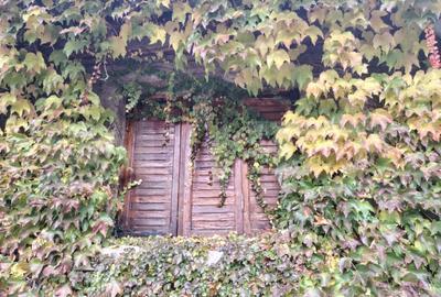 Proprietate in zona Parcului N Romanescu, casa batraneasca s - 1