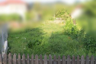 Spre vanzare proprietate centrala cu vad comercial - 3