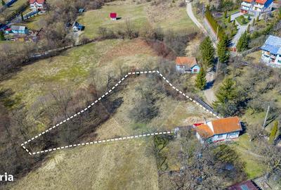 Spațiu comercial, în Vâlcele - 4