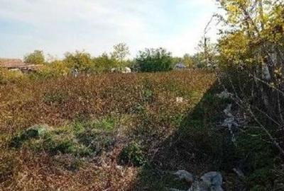 Casă cu 2 camere cu Teren 1899 Mp în Glodeanu Sărat - 5