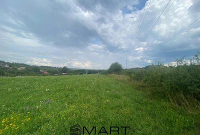 Teren 8000mp Daia noua - 7