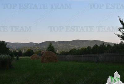 Teren de 1815 mp, în Măneciu - 4