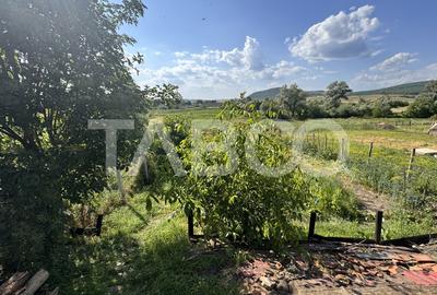 Casa de vanzare cu curte spatioasa loc relaxare si gradina Cornatel - 12