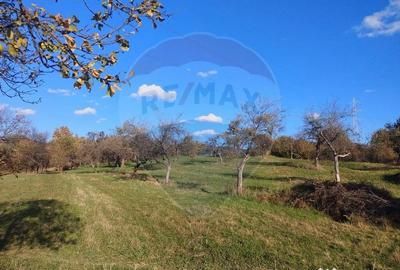 Teren de 3616 mp, în Șișești - 2