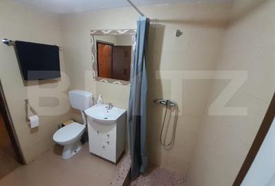 Cabana agrement, 3 camere, 100mp, Exterior Sud - 15
