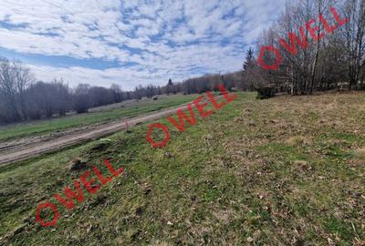 De vânzare teren extravilan în localitatea Brădet! De vânzare teren extravilan în localitatea Brădet! - 4