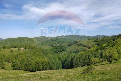 Teren 20,131 mp/Extravilan/Poiana Marului - 2