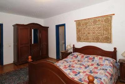 Vanzaere casa superba si 4000 mp teren la munte in Cheia Prahova cu parau care trece prin gradina - 10