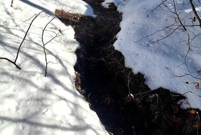 Teren de 8700 mp, în Tărlungeni - 7