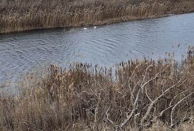 Teren de 110000 mp, în Petrești - 3