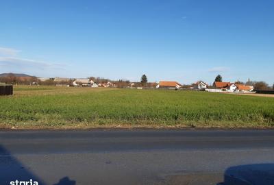 Teren de 2325 mp, în Prejmer - 3