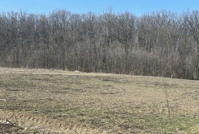 Spațiu comercial, în Crevedia - 7