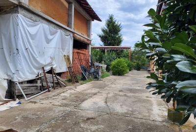 VANZARE  PROPRIETATE CIOFLICENI /TEREN GENEROS/POTENTIAL RIDICAT - 10