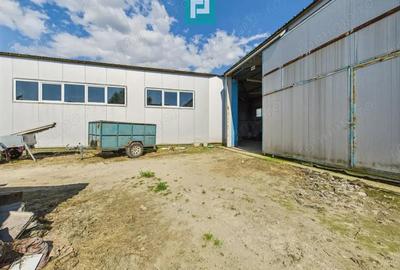 Cladire cu 5 camere cu teren ?i hala in Cenad - 11