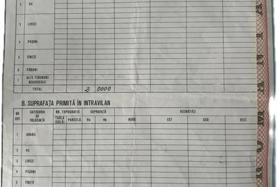 Teren de 20000 mp, în Topolog - 3