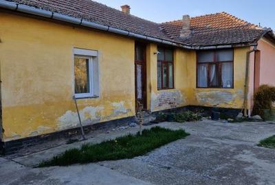 Casă cu 4 camere cu Teren 1522 Mp în Cenad - 3