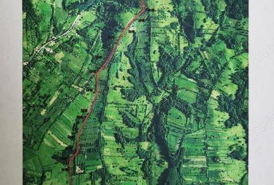 Teren Resita 4350 mp centura Resitei Terova-km 8 negociabil - 6