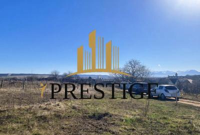 Teren agricol extravilan de 873 mp, în Șura Mică - 9