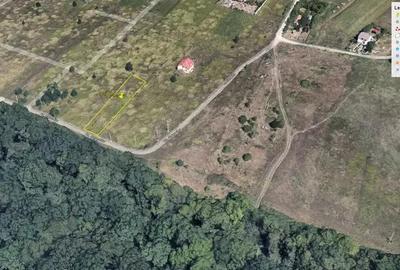 Teren de 914 mp, în Dumbrăvița