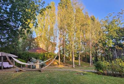 Vila individuala, teren 3000 mp, Iancu Nicolae - 33