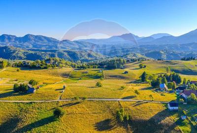 COMISION 0% Teren 19.300 mp/?irnea/ Oportunitate de inve... COMISION 0% Teren 19.300 mp/?irnea/ Oportunitate de inve... - 10