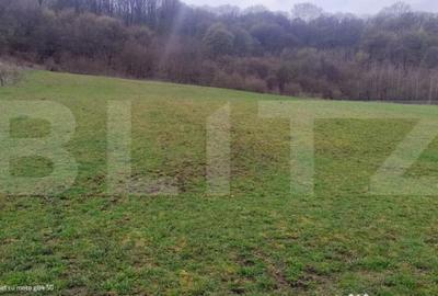 Teren în Central - 1