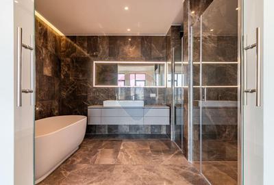 Penthouse spectaculos de vanzare Barbu Vacarescu - 15