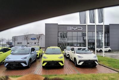 Pielesti- Metropolitan Craiova - Loturi Foarte Bine Pozitionate! OPORTUNITATE!!! - 11