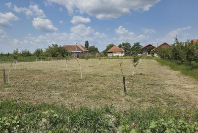 Casa  cu teren de 40 ari in localitatea Gelu - 6