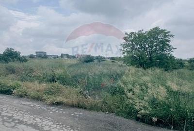 Teren Construcții extravilan de 1134 mp, în Bariera Vâlcii - 2