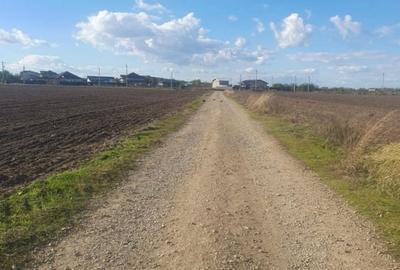 Teren intravilan 16.608 mp – 1 Decembrie, Ilfov | Deschidere 60 mp - 1