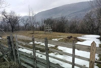 Teren de 1200 mp, în Teșila - 2