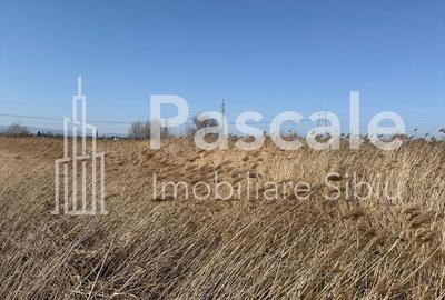 Teren de 5500 mp, în Șelimbăr - 2