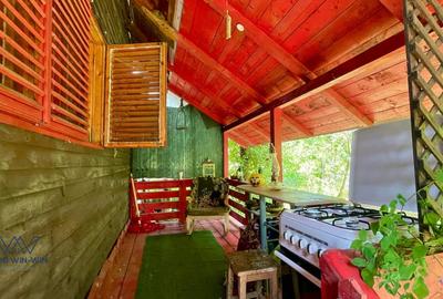 Casa Vacanta Babana! 35mp + Teren 1077mp cu Parau. Langa Pitesti. - 4