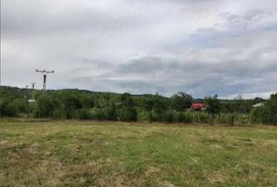 Teren de 6600 mp, în Pietroasele - 5