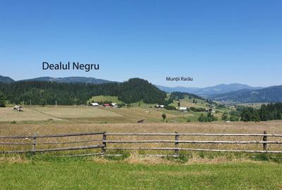 Spațiu comercial, în Șaru Dornei - 1