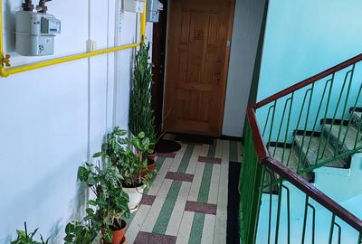 Apartament 2 camere de inchiriat Roman, str. Anton Pann, zona lini?tita 250 - 9