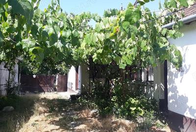 Vand casa in Comuna Uivar, Jude? Timi?, la 37 km de Timi?oara Vand casa in Comuna Uivar, Jude? Timi?, la 37 km de Timi?oara - 4