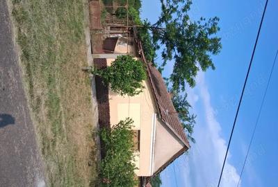 Casă cu 3 camere în Central - 1