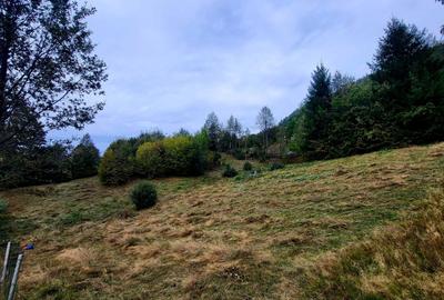 Teren de 2400 mp, în Borșa - 2