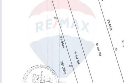 Teren 10,000mp Otopeni / Drumul Garii Odai - 2