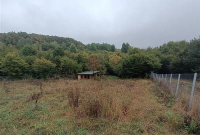 Teren cu suprafata 1054 mp, PUD, C.U., A.C., situat in Salicea! - 6