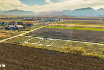 Teren de 650 mp, în Astra - 5