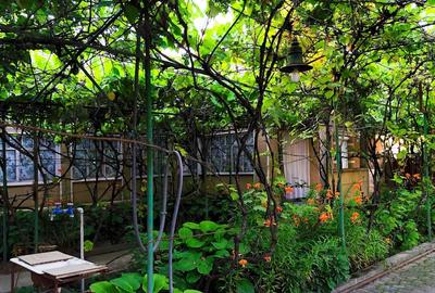 Casa de Vanzare, Sintea Mare, 6 km de orasul Chisineu Cris - 2