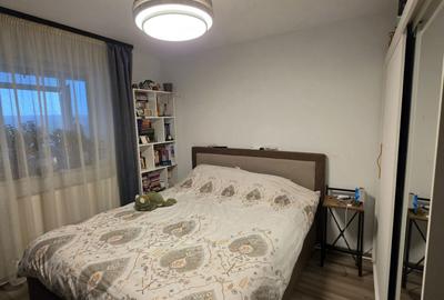 Apartament cu 3 camere decomandat în Valea Lupului - 3