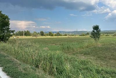 Teren de 20954 mp, în Mihăești - 4