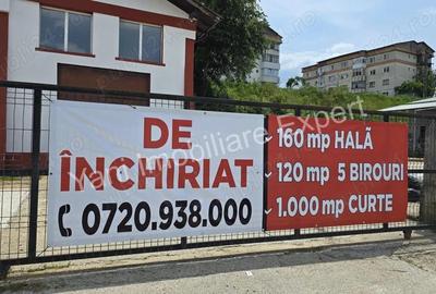 Spa?iu comercial hala, de inchiriat in Curtea de Arge?. - 8