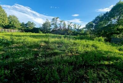 Teren 1,749mp Piatra-Neamt / Strada Zambilelor - 13